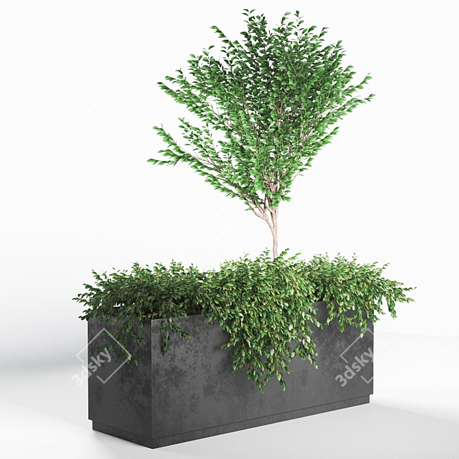 Unique Russian Plant Poly Count Design 3D model image 2