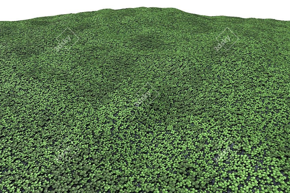 Seamless Clover Grass Texture 3D model image 2