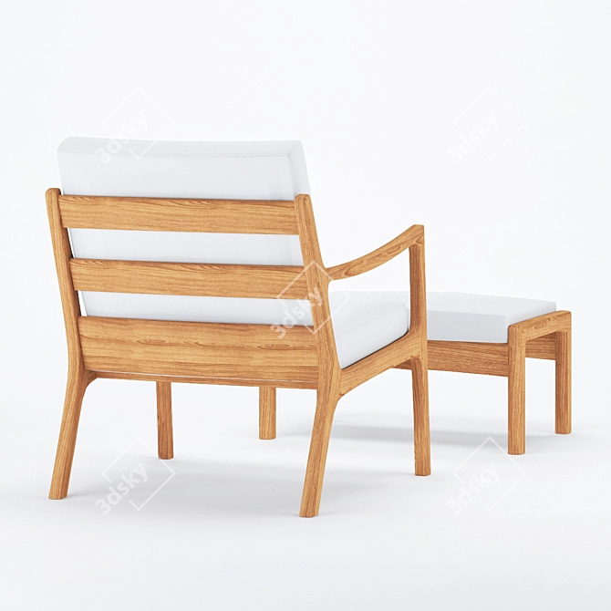 Vintage Danish Design: Senator & Puff Easy Chair Set 3D model image 2