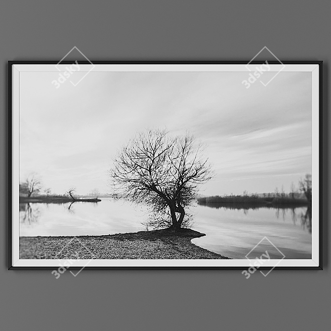 Elegant Black Framed Art 3D model image 1