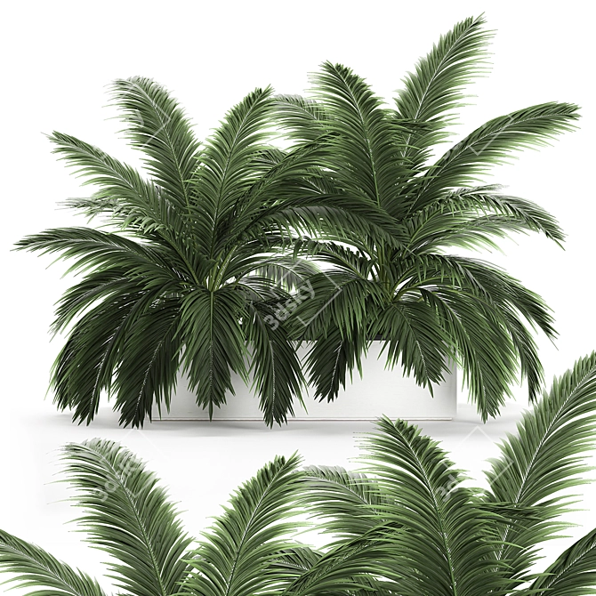 Tropical Plant Collection: Exotic Palms & Botanical Beauties 3D model image 1