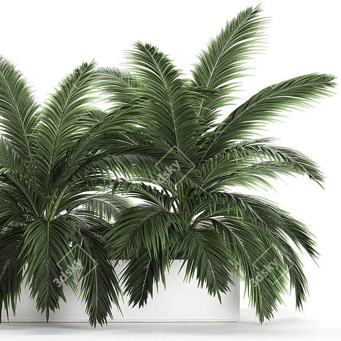 Tropical Plant Collection: Exotic Palms & Botanical Beauties 3D model image 3