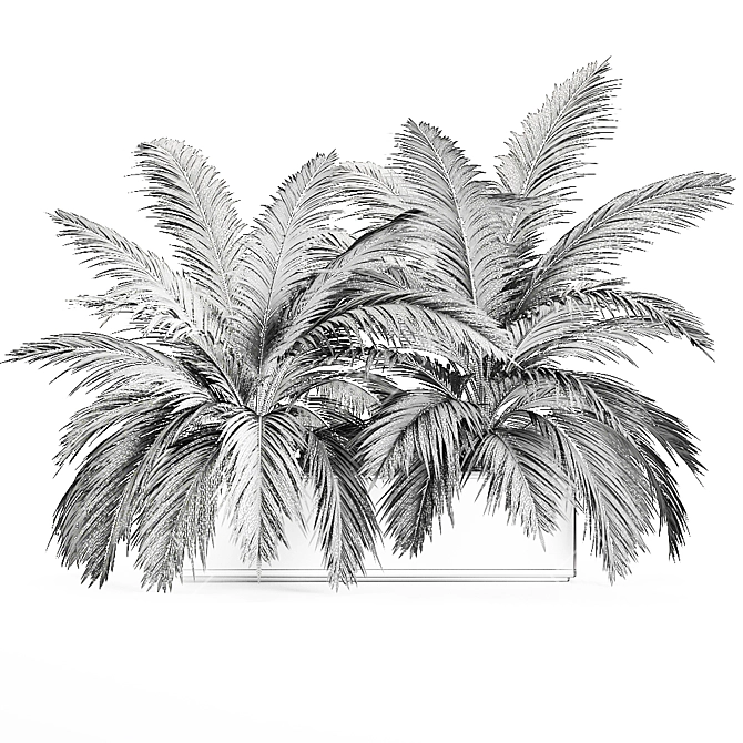 Tropical Plant Collection: Exotic Palms & Botanical Beauties 3D model image 5