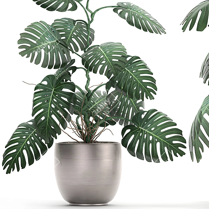 Exotic Monstera: Perfect for Indoors & Outdoors 3D model image 4