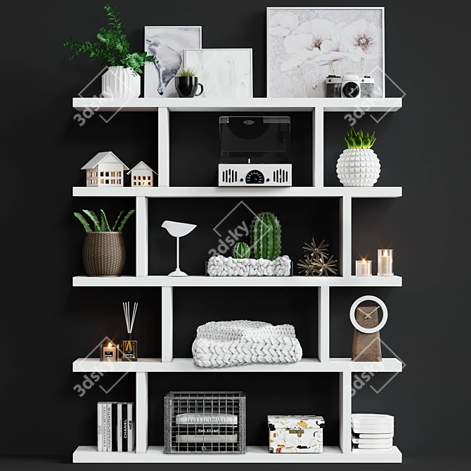 Contemporary Decorative Shelving 3D model image 1