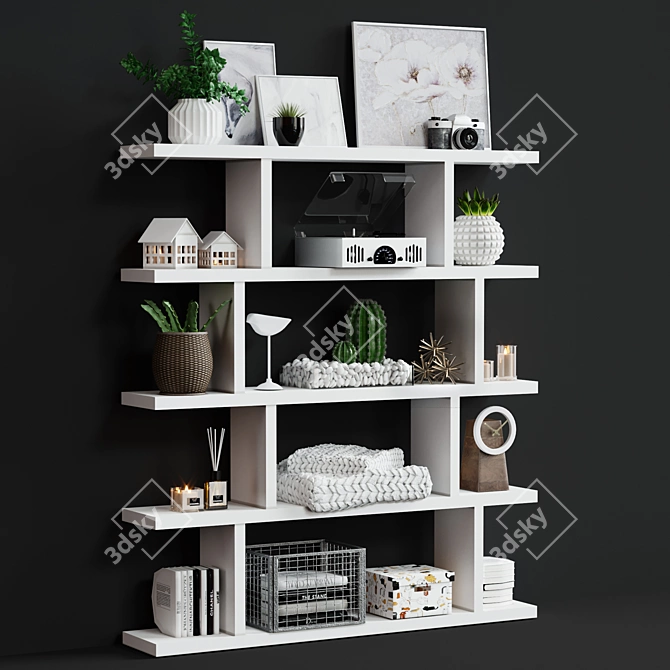 Contemporary Decorative Shelving 3D model image 2