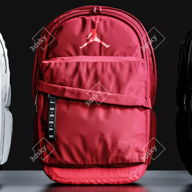 Air Jordan Patrol Backpack: Elite Style 3D model image 4