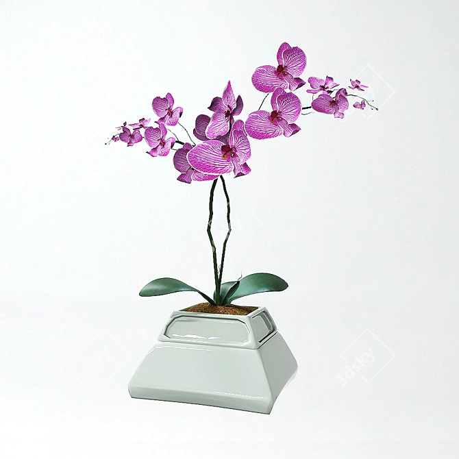 Elegant Orchid in Stylish Pot 3D model image 8