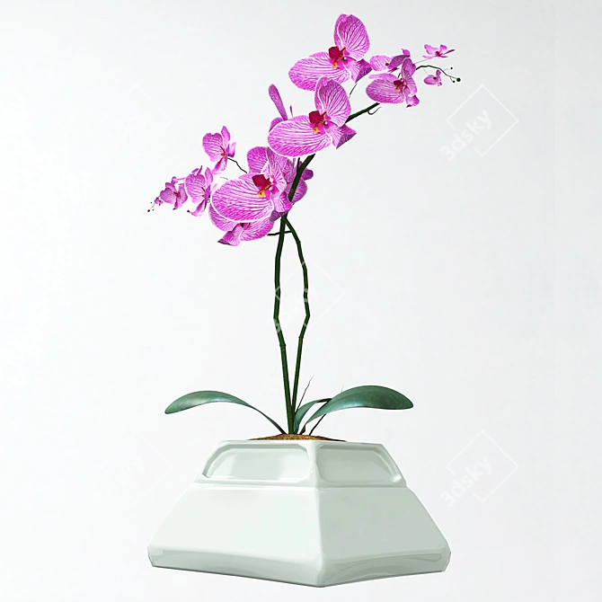 Elegant Orchid in Stylish Pot 3D model image 9