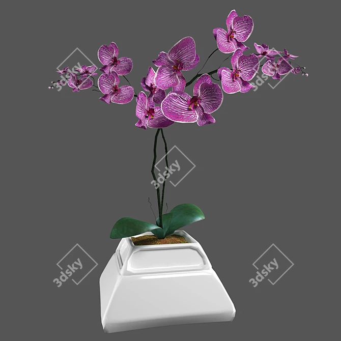 Elegant Orchid in Stylish Pot 3D model image 10