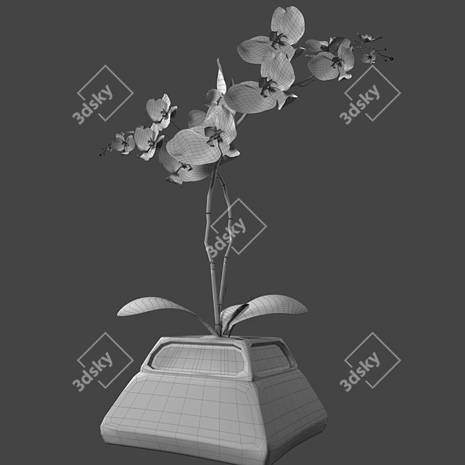 Elegant Orchid in Stylish Pot 3D model image 14