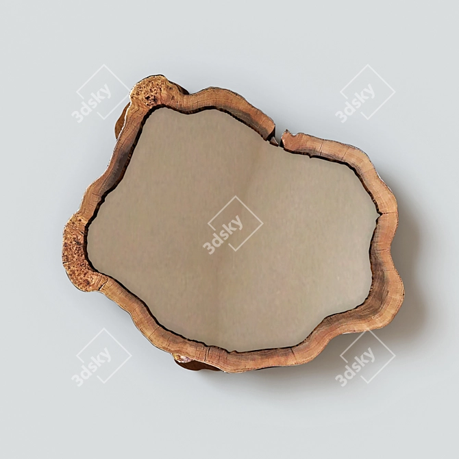  Rustic Loft Slab Mirror 3D model image 1