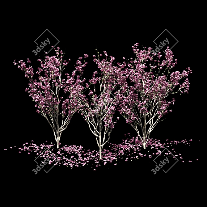 Magnolia Tree 3D Models & Materials 3D model image 2