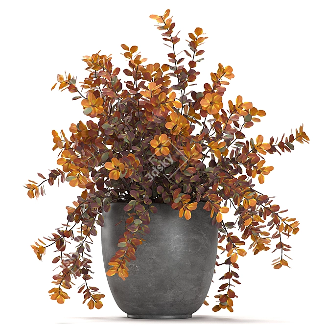 Exotic Berberis thunbergii: Decorative Bush Collection 3D model image 2