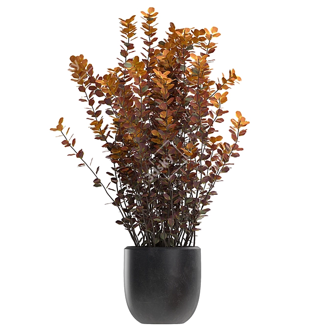 Exotic Berberis thunbergii: Decorative Bush Collection 3D model image 4