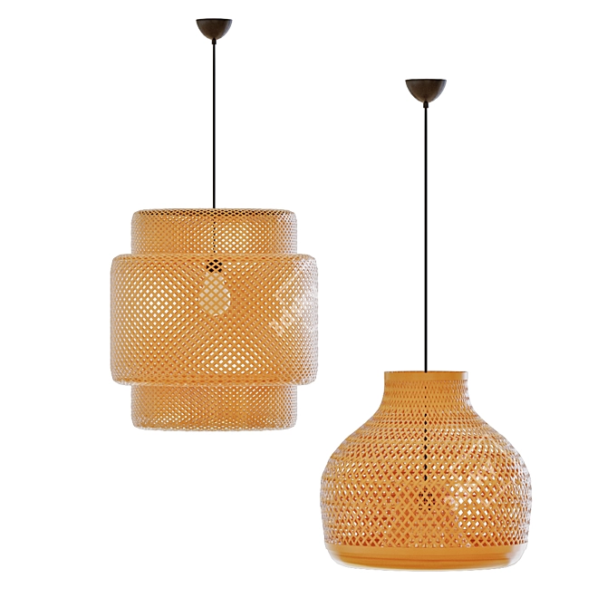 Lush Rattan Pendant Light 3D model image 2