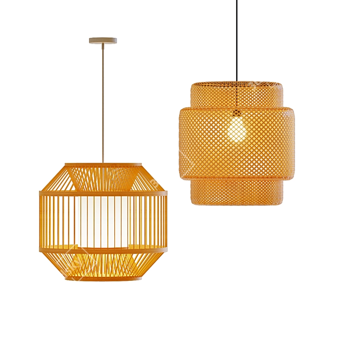 Lush Rattan Pendant Light 3D model image 3