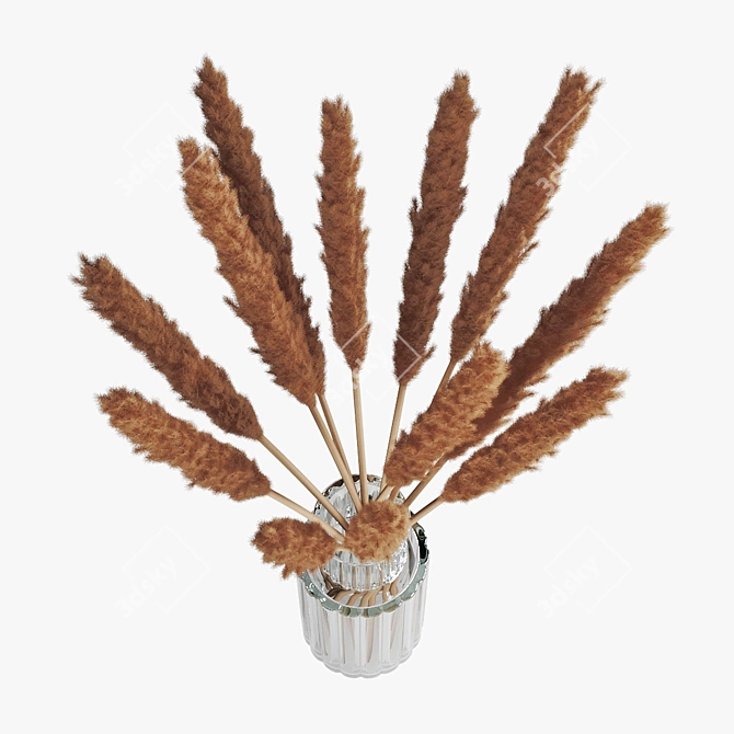 Elegant Pampas Grass Display 3D model image 3