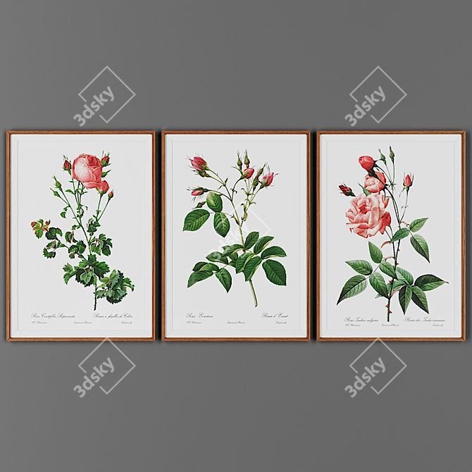 Wooden Frame Art Collection 3D model image 1