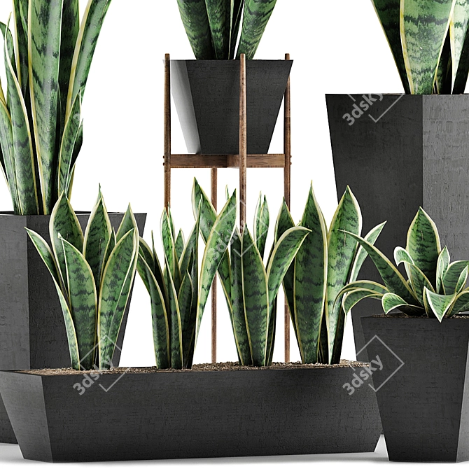 Exotic Palm Plants: Decorative Collection 29 3D model image 2