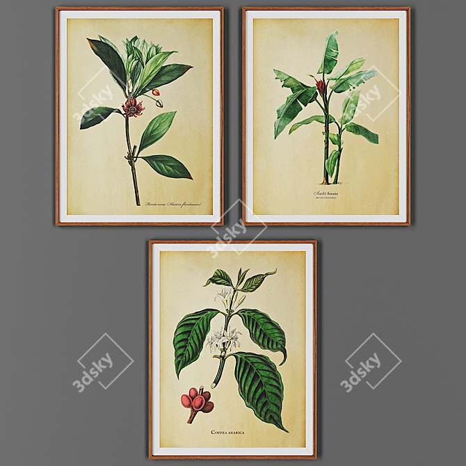 Wooden Frame Picture Set 3D model image 1