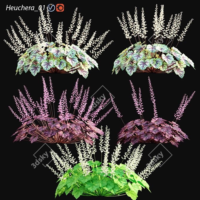 Coral Bells 3D Model Kit 3D model image 1