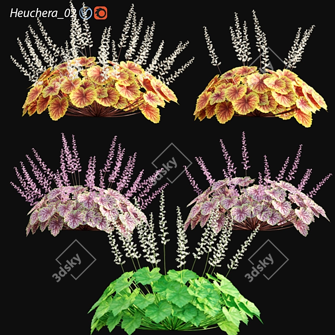 Heuchera - Coral Bells 02: 3D Models with Textures 3D model image 1