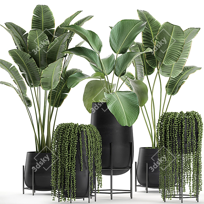 Exotic Plant Collection in Black Vase 3D model image 1