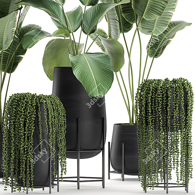 Exotic Plant Collection in Black Vase 3D model image 2