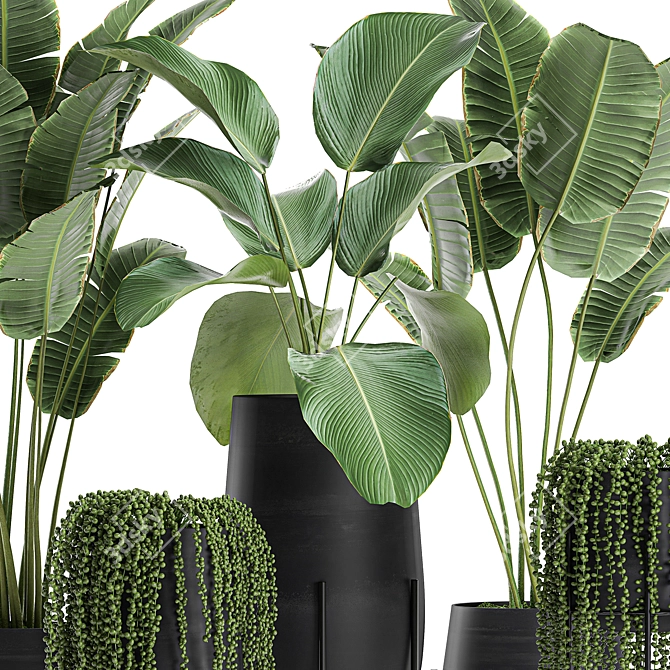 Exotic Plant Collection in Black Vase 3D model image 3