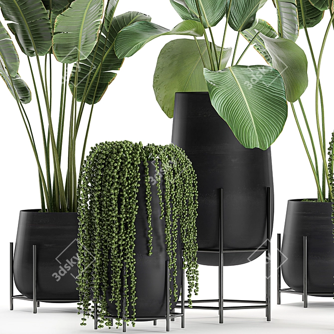 Exotic Plant Collection in Black Vase 3D model image 4