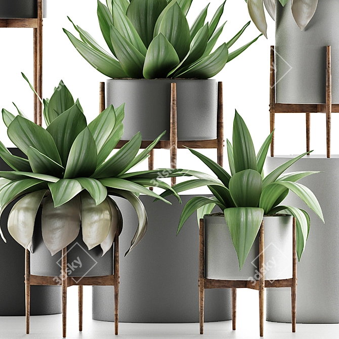 Tropical Plant Oasis 3D model image 2