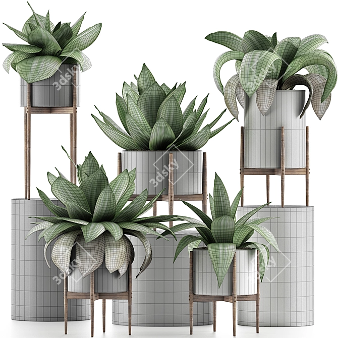 Tropical Plant Oasis 3D model image 4