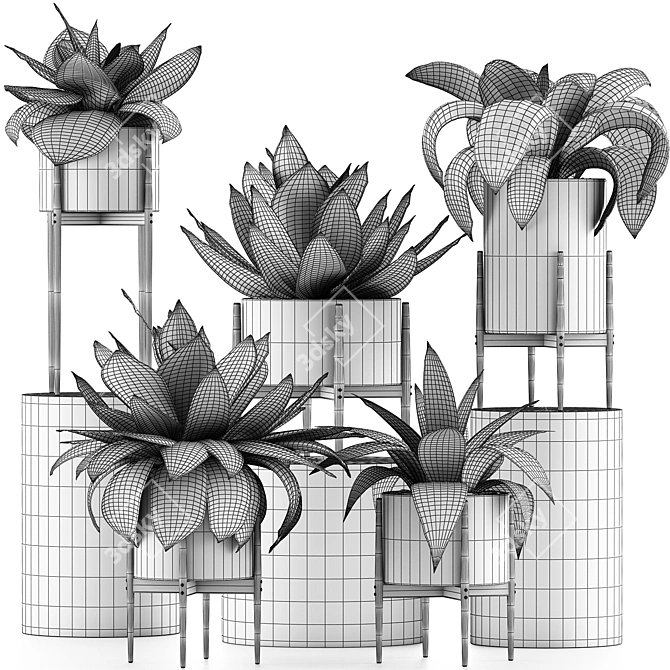 Tropical Plant Oasis 3D model image 5