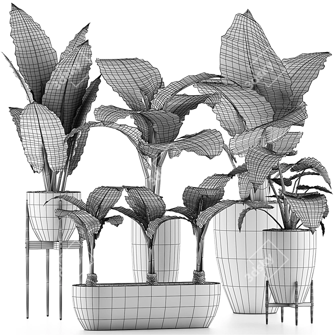 Tropical Plants Collection: Exotic Palms & Flowers 3D model image 5