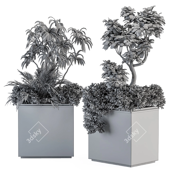 Minimalist White Box Plant Set 3D model image 4