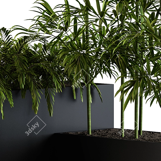 Black Plastic Box: Outdoor Plants 3D model image 3