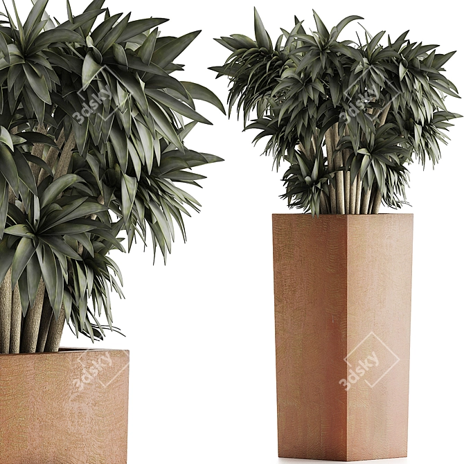 Desert Jungle Collection 3D model image 1