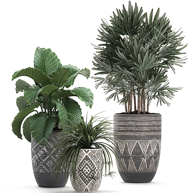 Exotic Plant Collection: Raphis Palm, Alocasia, and Chlorophytum 3D model image 4