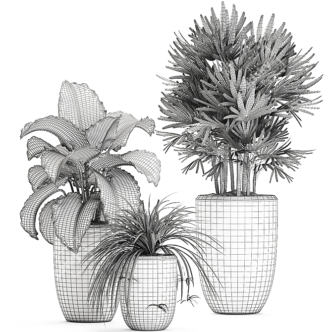 Exotic Plant Collection: Raphis Palm, Alocasia, and Chlorophytum 3D model image 5