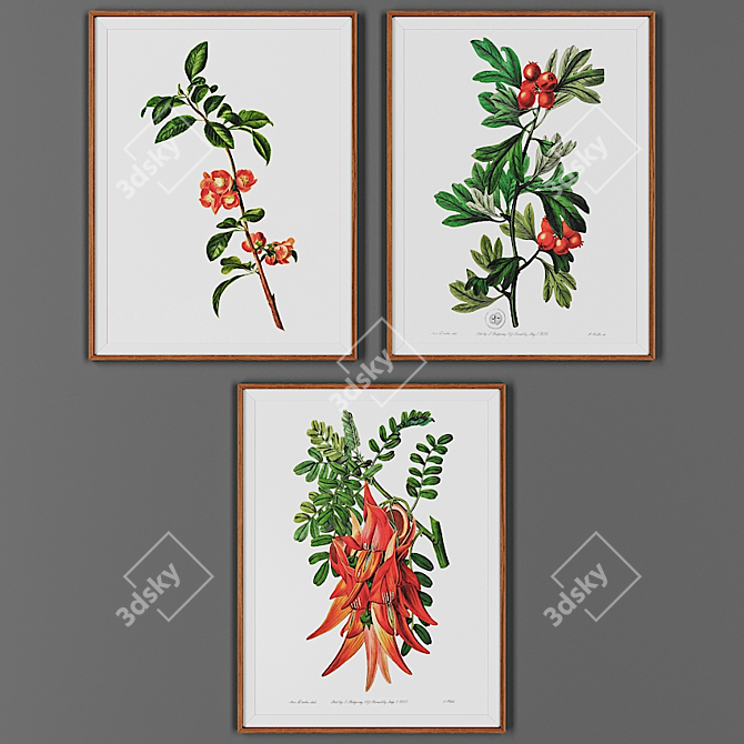 Wooden Frame Picture Set 3D model image 1