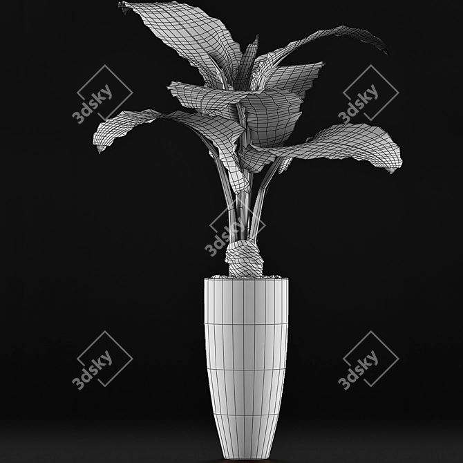 Exotic Alocasia: Plants Collection 53 3D model image 5