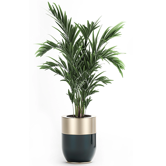 Exotic Plant Collection: Indoor & Outdoor Decor 3D model image 2