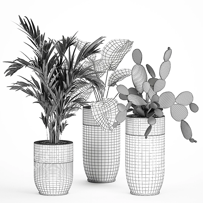 Exotic Plant Collection: Indoor & Outdoor Decor 3D model image 5