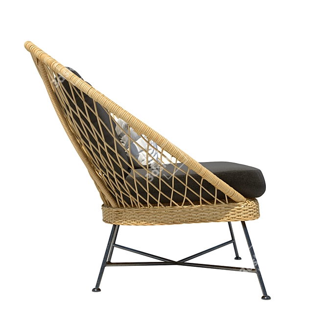 Comfortable Aeri Lounge Chair 3D model image 2