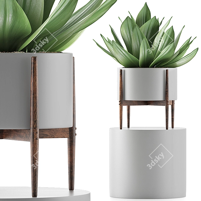 Exotic Agave Collection: Perfect for Green Decor 3D model image 1