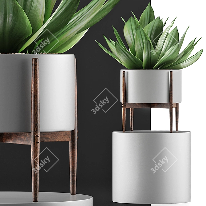 Exotic Agave Collection: Perfect for Green Decor 3D model image 3