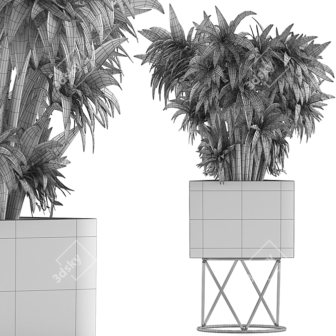 80 Desert Plants Collection: Exotic and Decorative Flora 3D model image 5