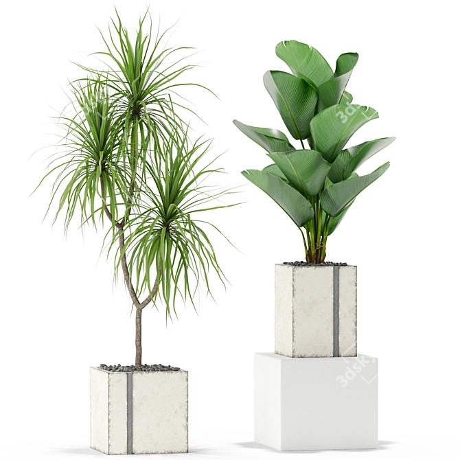 Green Oasis: 375 Plant Collection 3D model image 2