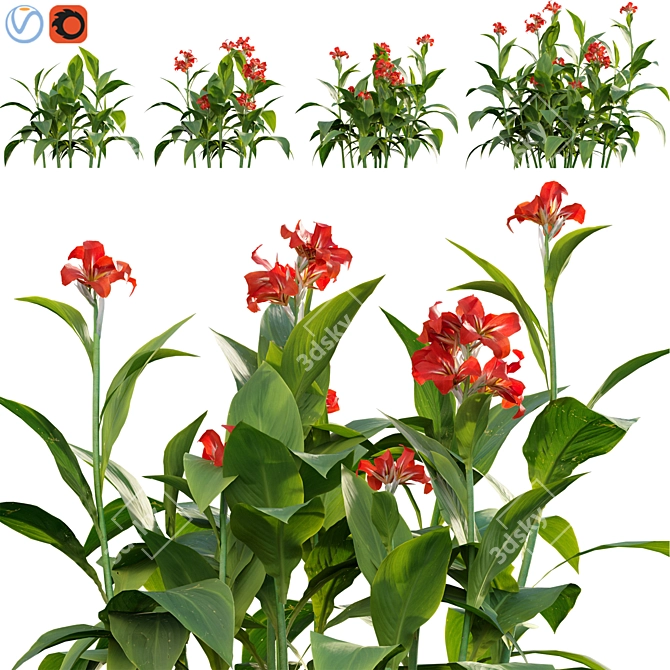 Canna Lily 3D Model Kit 3D model image 1